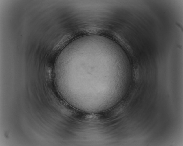 X0000101210117200807181427