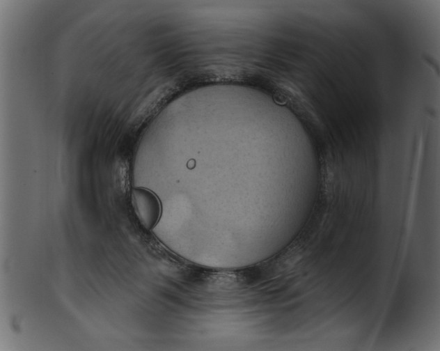 X0000101210123200807181427