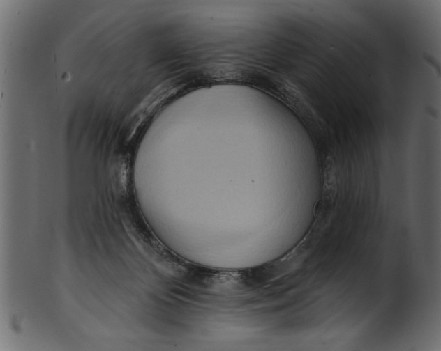 X0000101210124200807181427