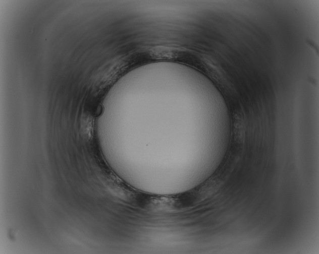 X0000101210125200807181427