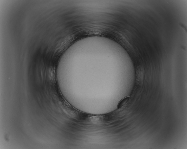 X0000101210126200807181427