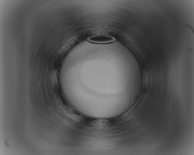 X0000101210128200807181427