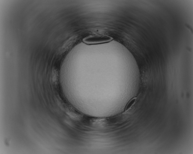 X0000101210132200807181427