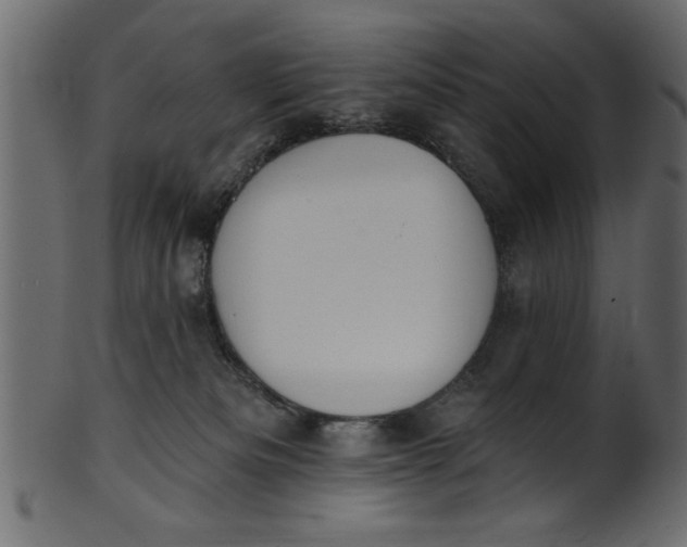 X0000101210133200807181427