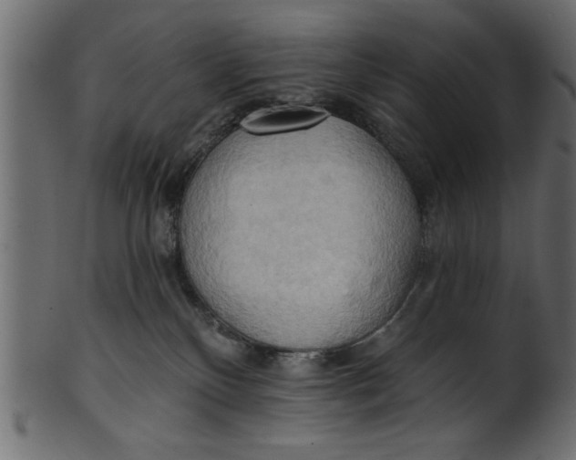 X0000101210136200807181427