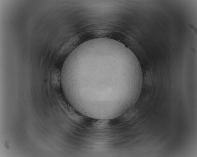 X0000101210138200807181427