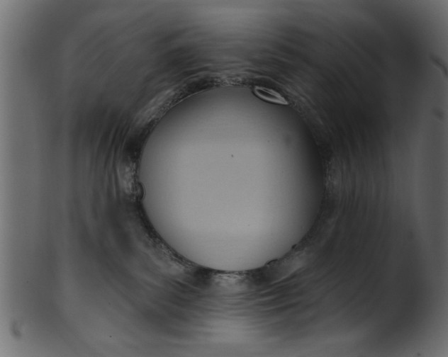 X0000101210139200807181427