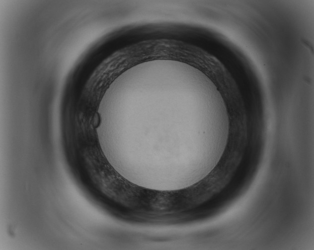 X0000101210142200807181427