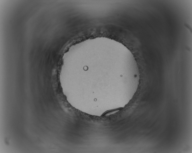 X0000101210144200807181427