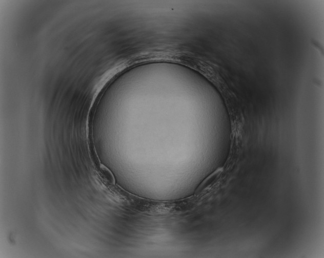 X0000101210148200807181426