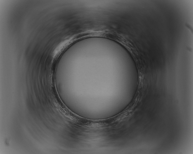 X0000101210149200807181426