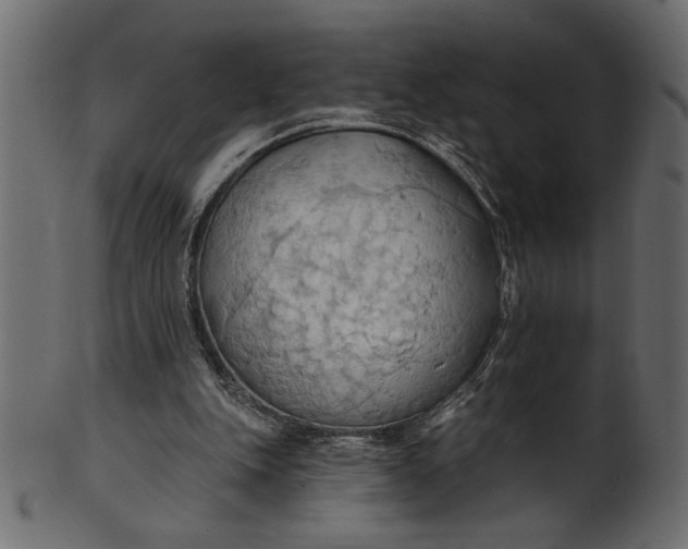 X0000101210151200807181426