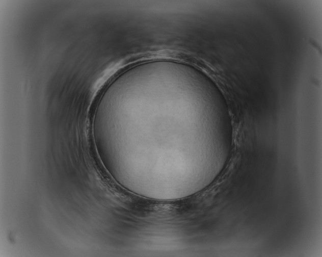 X0000101210152200807181426