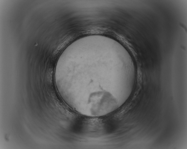 X0000101210153200807181426