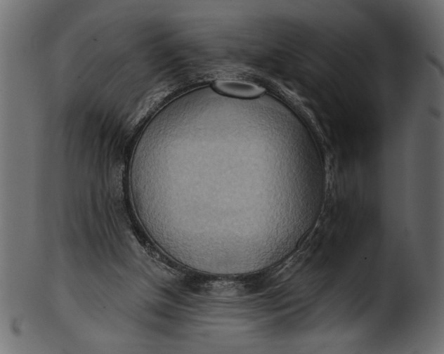 X0000101210154200807181426