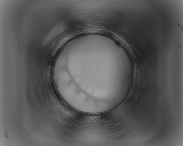 X0000101210155200807181426