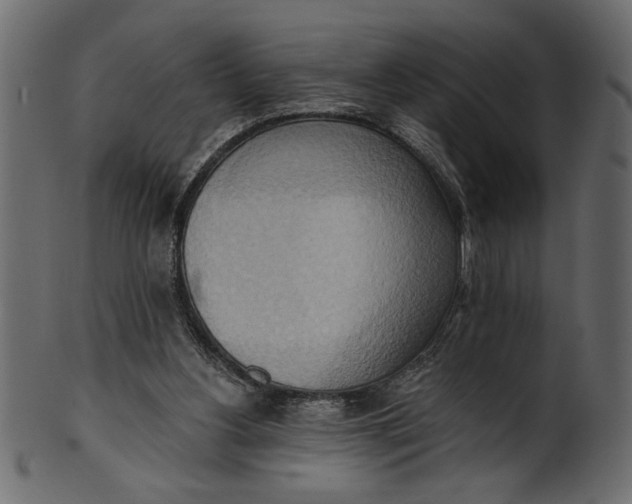 X0000101210156200807181426