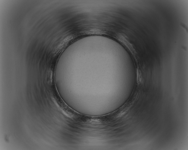 X0000101210157200807181426