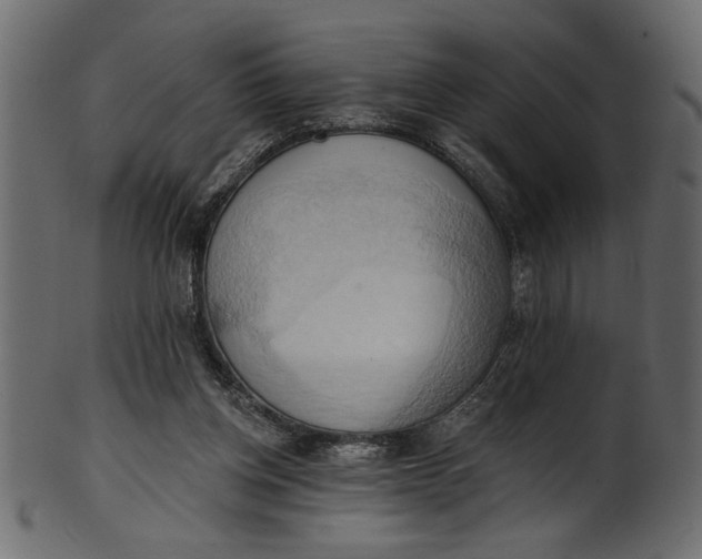 X0000101210158200807181426