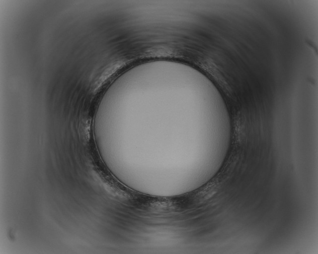 X0000101210160200807181426