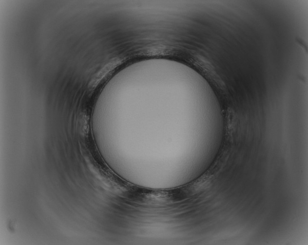 X0000101210164200807181426