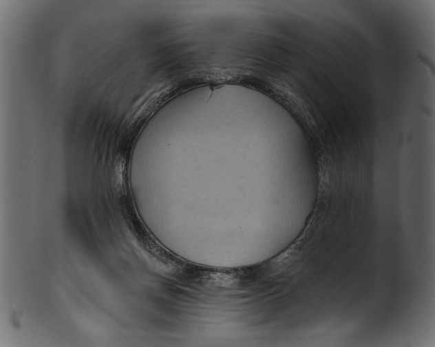 X0000101210166200807181426