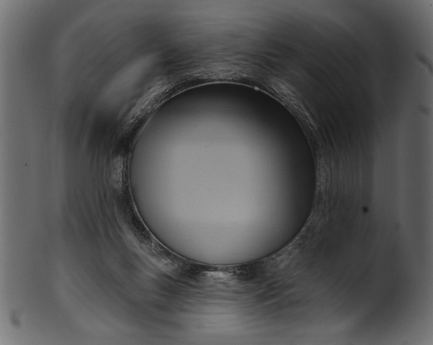 X0000101210167200807181426