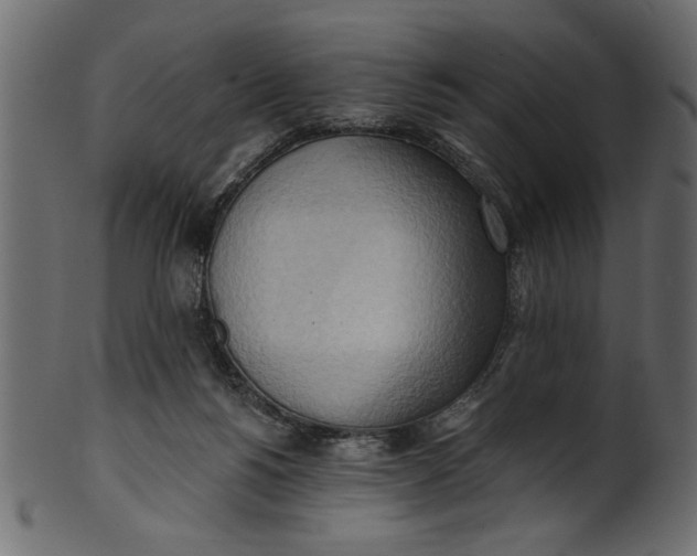 X0000101210168200807181426