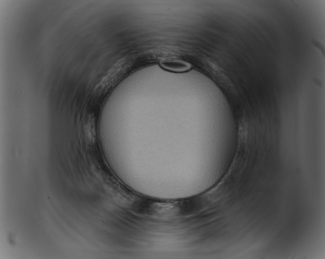 X0000101210170200807181426