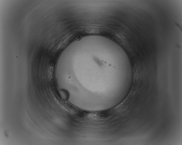 X0000101210171200807181427