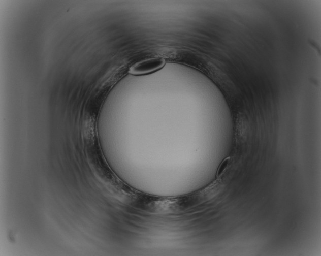 X0000101210172200807181427