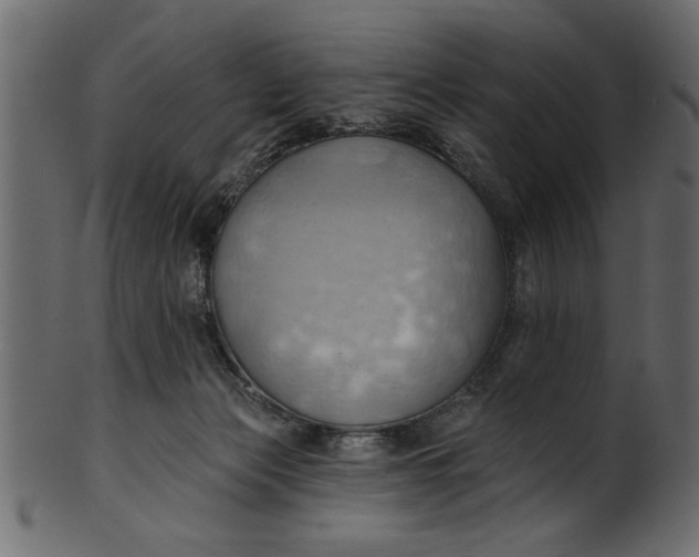 X0000101210173200807181427