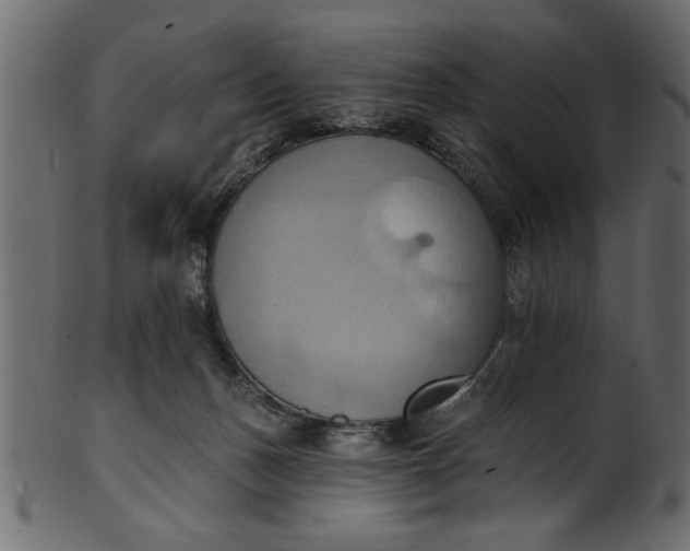 X0000101210175200807181427