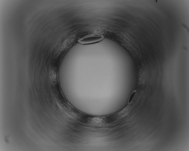 X0000101210176200807181427