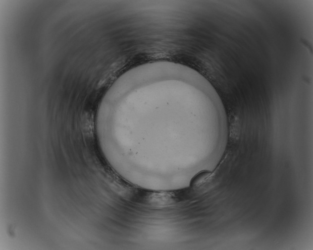 X0000101210179200807181427