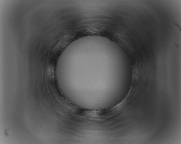 X0000101210182200807181427