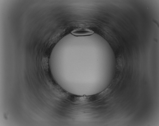 X0000101210184200807181427