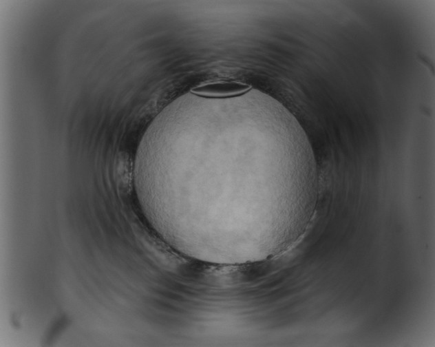 X0000101210186200807181427