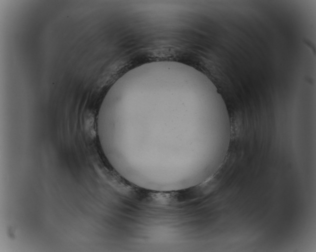 X0000101210187200807181427