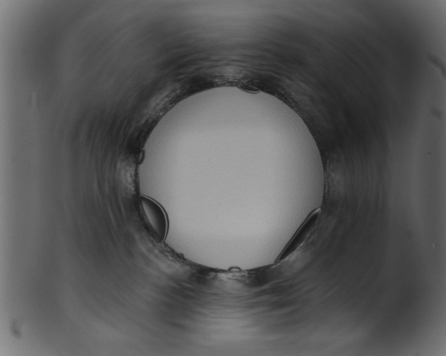 X0000101210188200807181427