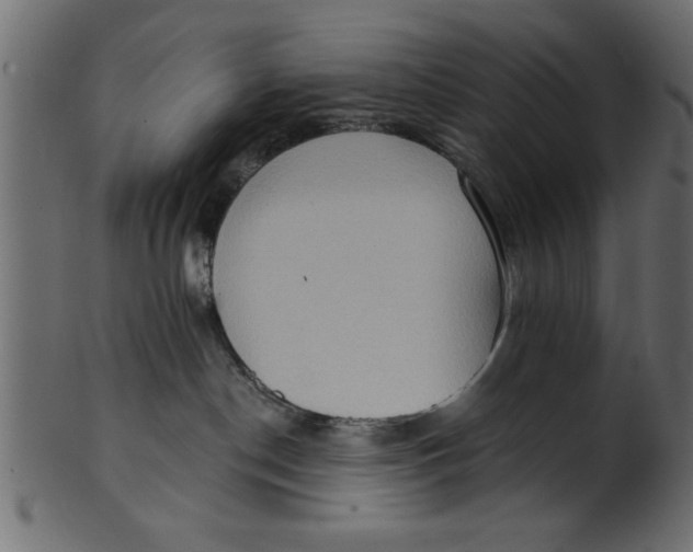 X0000101210190200807181427