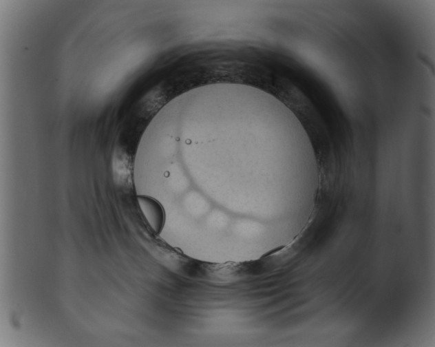 X0000101210191200807181427