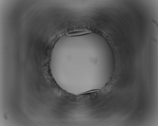 X0000101210192200807181427