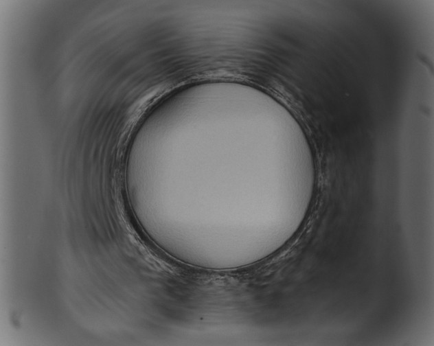 X0000101210193200807181426