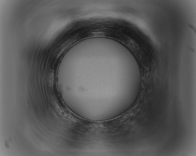 X0000101210194200807181426