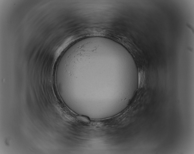 X0000101210195200807181426