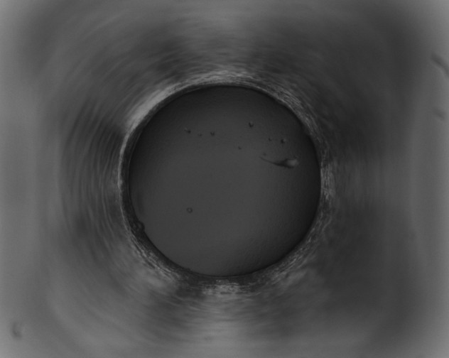 X0000101210196200807181426