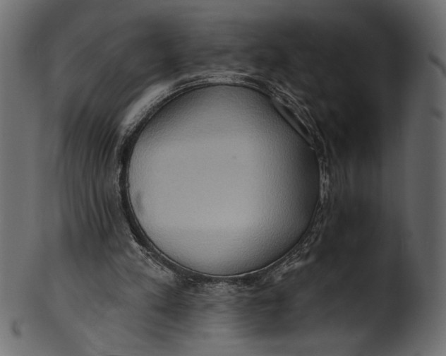 X0000101210197200807181426