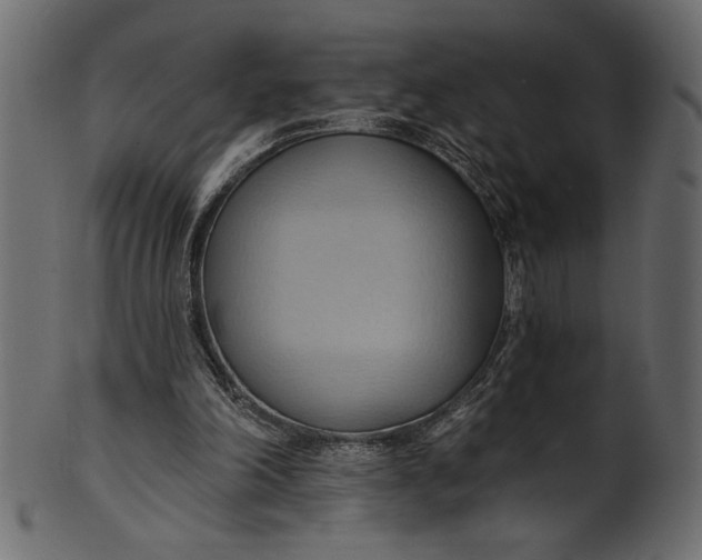 X0000101210198200807181426