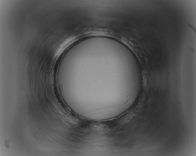 X0000101210199200807181426